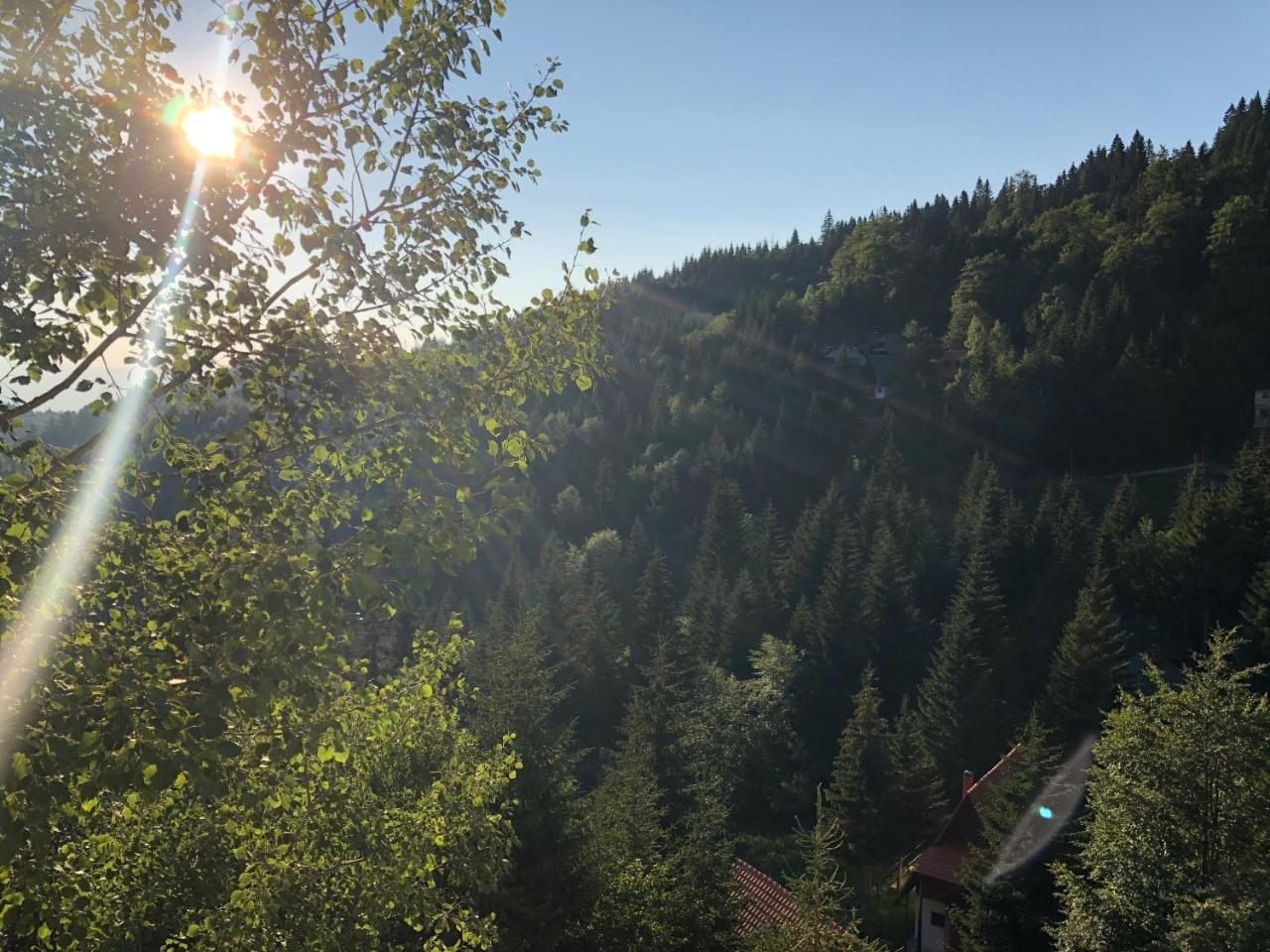 Stara Bacija Kopaonik Exterior foto