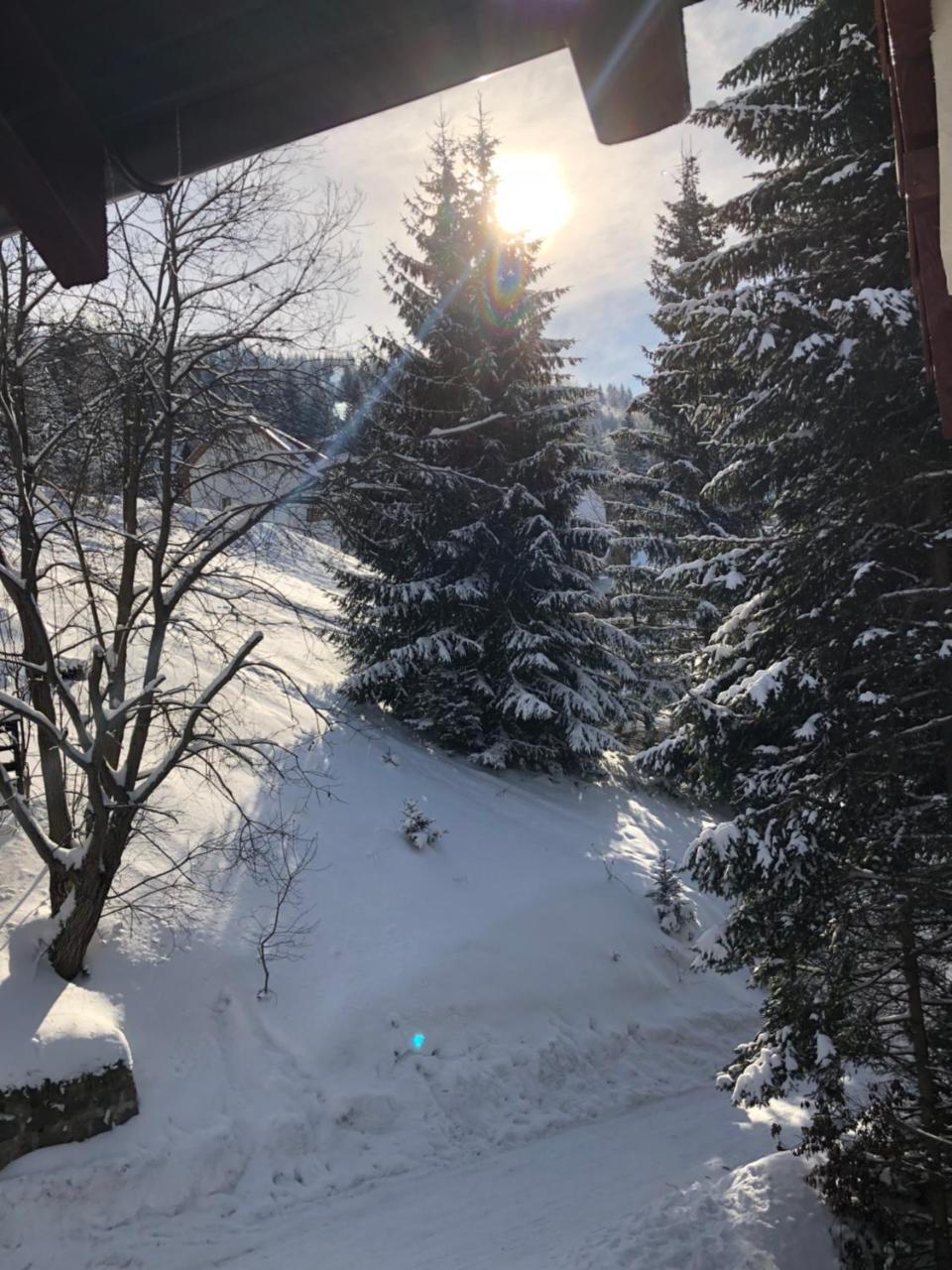Stara Bacija Kopaonik Exterior foto